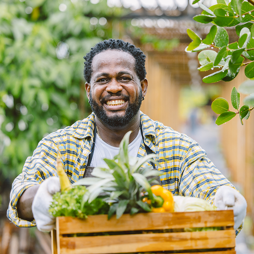 Food and Nutrition Security